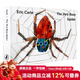 英文原版 Eric Carle The Very Busy Spider 好忙的小蜘蛛 吳敏蘭書(shū)單第77本 常青藤爸爸推薦 廖彩杏書(shū)單