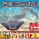 深海迷航史前巨獸食海者瑪雅布魯普利維坦海怪模型創(chuàng  )意擺件禮物男 瑪雅【大號】