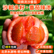 密農人家農家流沙番茄沙瓤 自然熟 密云普羅旺斯西紅柿時(shí)令應季新鮮蔬菜 4斤 流沙番茄中大果（1斤2-4枚）