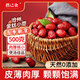 俏己食 金絲小棗滄州特產(chǎn)特級優(yōu)質(zhì)紅棗煲湯煮粥蜜棗蜜餞一級果干零食1斤