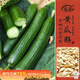 壽禾 水果黃瓜種子種苗強雌青瓜蔬菜種籽 綠月水果黃瓜種子100粒/袋*2