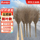 納福鳥(niǎo) 大竹掃把大掃帚掃院子掃馬路環(huán)衛學(xué)校庭院工廠(chǎng)車(chē)間專(zhuān)用家用4斤竹掃把豪華老枝款（5把裝）