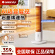 格力（GREE）取暖器2025新款節能省電王石墨烯暖風(fēng)機家用臥室靜音嬰兒電暖氣暖風(fēng)熱風(fēng)機立式塔式辦公室電暖器 2000W【石墨烯語(yǔ)音款】