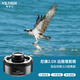 唯卓仕（VILTROX）TC-2.0X增距鏡尼康口2倍鏡超遠攝鏡頭增倍境自動(dòng)對焦 延伸主鏡頭焦距 拍鳥(niǎo)攝月體育風(fēng)光生態(tài)攝影