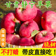 順豐甘肅靜寧紅富士蘋(píng)果9斤現摘新鮮水果脆甜高山糖心紅玫瑰蘋(píng)果Y 5斤【順豐快遞】 中大果【單果75mm】