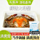 【活蟹發(fā)貨】萊州梭子蟹鮮活母滿(mǎn)黃紅膏母蟹特大螃蟹海鮮禮盒鮮活 【活蟹】碼頭直發(fā)-滿(mǎn)黃滿(mǎn)膏母蟹 【鮮活發(fā)】精選特大梭子蟹4斤8-9只
