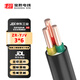 寶勝電纜 6平方銅芯電線(xiàn) 3芯國標銅線(xiàn) YJV電纜線(xiàn) 適用充電樁電纜線(xiàn) 家用電線(xiàn) ZR-YJV-3*6平方 1米價(jià)