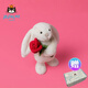 Jellycat英國害羞邦尼兔毛絨玩具兒童玩偶安撫抱枕娃娃潮玩公仔女生日禮物 懷抱玫瑰邦尼兔23CM【贈送禮盒】 代寫(xiě)賀卡聯(lián)系客服