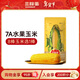 三胖蛋水果玉米228g 內蒙真空包裝玉米棒 開(kāi)袋即食 速食早餐 雜糧粗糧