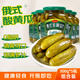 鮮窩窩 俄式酸黃瓜330g*5瓶 俄羅斯風(fēng)味乳黃瓜酸青瓜西餐三明治漢堡配菜