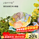 JOYYE卓藝藝術(shù)陶瓷水果盤(pán)糖果盤(pán)糕點(diǎn)盤(pán)子生日禮物高檔實(shí)用節日伴手禮物 繁花似錦-花色