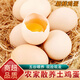 桃西村散養土雞蛋【現撿速發(fā)】正宗柴雞蛋新鮮農家雞蛋草雞蛋笨雞蛋初生 10枚裝 【單枚40-45g】約400g 試吃