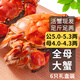 【活蟹】乾澄大閘蟹現貨 公蟹5.0兩母蟹4.0兩 6只3對 特大鮮活螃蟹海鮮禮盒源頭直發(fā)