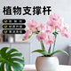 金雅特植物固定器花支架防倒伏蝴蝶蘭支撐桿陽(yáng)臺盆栽護花葉10支