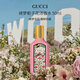 古馳（GUCCI）綺夢(mèng)梔子女士濃香水50ml 花香調 生日禮物