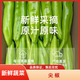 【順豐包郵】新鮮青尖椒中辣脆爽現采現發(fā)當季蔬菜送貨上門(mén) 凈重1斤(【嘗鮮裝，貴在快遞費】) 優(yōu)選直彎混裝（零下溫度地區，泡沫箱+暖寶）