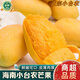 南步海南小臺農芒果 需催熟雞蛋芒臺農芒現摘甜心小芒果新鮮熱帶水果 4.5斤 精選小果【單果50-80g】需催熟