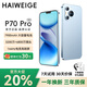 HAIWEIGE P70pro手機2026新機上市 1Tb大內存144Hz高刷護眼2K高清屏5G全網(wǎng)通7900大電池長(cháng)續航老年機老人機 冰晶藍 豪華版16G+1024G 【5G全網(wǎng)通+豪華禮品+質(zhì)保三