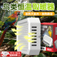 OIMG鸚鵡保溫燈過(guò)冬神器鳥(niǎo)籠鸚鵡蘆丁雞取暖器恒溫加熱燈發(fā)熱不發(fā)光 電熱取暖器+【防咬管】鳥(niǎo)類(lèi)保暖通用