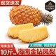 譯優(yōu)農正宗海南金鉆鳳梨新鮮熱帶水果當季香水金菠蘿手撕小菠蘿金鳳梨 帶箱9.5-10斤【精選裝】海南直發(fā)