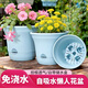 農寶 懶人自動(dòng)吸水塑料花盆簡(jiǎn)約綠蘿多肉盆景盆綠植花卉家用花盆 小號