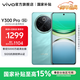 vivo Y300 Pro 國家補貼 6500mAh藍海電池 80W遠航閃充 7.69mm超薄機身 索尼5000萬(wàn)超清主攝 拍照手機 金鑲玉 12GB+512GB