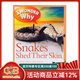 十萬(wàn)個(gè)為什么 20冊 英文原版繪本 I Wonder Why 少兒百科全書(shū) 兒童科普讀物 英語(yǔ)課外訓練閱讀圖畫(huà)書(shū) 掃碼聽(tīng)音頻 6-12歲 【試讀】Snakes Shed TheirSkin