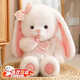 蟻恩兔子毛絨玩具女孩子娃娃小白兔子玩偶公仔布娃娃生日禮物帶蝴蝶結 晚安小兔【長(cháng)米貂毛】 約40cm高