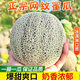海南玫瓏網(wǎng)紋蜜瓜哈密瓜5斤新鮮水果當季玲瓏冰淇淋奶香梅隴甜瓜3 2斤【1個(gè)】