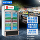 中雪立式保鮮展示柜銅管風(fēng)冷無(wú)霜冷柜玻璃雙門(mén)冰柜商用冰箱冷藏飲品 風(fēng)冷無(wú)霜銅管雙門(mén)628L