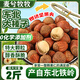 麥兮牧牧東北特產(chǎn)手拍大榛子鐵嶺25新果原味薄殼堅果炒貨干果年貨2斤