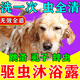 天望狗狗專(zhuān)用沐浴露驅蟲(chóng)止癢除臭狗洗澡清潔蜱蟲(chóng)跳蚤洗護抑菌持久留香 一瓶裝【洗一次就見(jiàn)效】