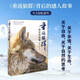 【當當正版書(shū)籍】重返狼群作者新作 一匹狼的江湖 兒童文學(xué)動(dòng)物小說(shuō)6-12歲 李微漪 著(zhù) 重返狼群作者新作 圖文動(dòng)物生態(tài)人性之書(shū)給人與愛(ài)新年禮物 三環(huán)出版社 一部狼的自傳 軟精裝裸脊 重返狼群背后的故事