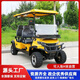 高爾夫球車(chē)四座4人6座兩座坐出口小型旅游觀(guān)光電動(dòng)車(chē)四輪酒店擺渡巡邏看房電瓶車(chē)拉貨球場(chǎng)高爾夫車(chē) C款2+2座鋰電高配