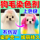 G狗狗毛發(fā)染色劑寵物專(zhuān)用比熊染粉紅白黑桑巴橙金黃色染膏營(yíng)養美毛 染色劑【可愛(ài)粉】80g/支