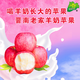 【京東速遞】正宗萬(wàn)榮羊奶蘋(píng)果出口品質(zhì)新鮮水果脆甜爆汁萬(wàn)榮蘋(píng)果 【中果】10-12枚（凈重4.3斤左右）彩箱