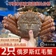 沃鮮客俄羅斯紅毛蟹活凍毛蟹鮮凍海鮮大禮包水產(chǎn)年貨送禮超大帝王蟹 活凍紅毛蟹*1只約1-1.3斤