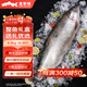 龍羊峽冰鮮國產(chǎn)青海三文魚(yú)整條大魚(yú)禮盒冷水魚(yú)生鮮高原虹鱒送禮順豐 冰鮮整魚(yú)禮盒 4.3kg （8-9斤）