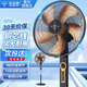 鉆石牌（DIAMOND）風(fēng)扇電風(fēng)扇落地扇大風(fēng)力家用客廳老式強力超大功率坐座地立式臥室遙控定時(shí)牛角扇2025新款 18寸鋁葉機械【銅芯電機】