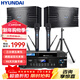 HYUNDAI家庭影院ktv音響套裝家用k歌電視客廳會(huì )議室卡拉ok全套專(zhuān)業(yè)大功率功放機店鋪卡包音箱設備 【專(zhuān)業(yè)版】10吋七單元音響套裝