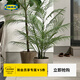 宜家（IKEA）FEJKA菲卡人造盆栽植物仿真綠植客廳裝飾擺件實(shí)用擺設 竹子170×23cm