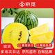 京覓特小鳳黃瓤西瓜 2粒 凈重6-7斤 單果3斤起 生鮮水果 年貨源頭直發(fā)