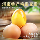 耕果妙30枚溏心雞蛋變蛋黃金變蛋3斤河南特產(chǎn)雞蛋皮蛋 源頭直發(fā) 包郵