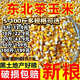 50斤新玉米粒大粒干玉米粒100斤玉米喂雞鴨鵝鴿子鳥(niǎo)鴿子飼料5斤 天然不打蠟無(wú)硫薰農家優(yōu)質(zhì)玉米粒 5袋發(fā)50斤超值【純新糧到貨通風(fēng)晾曬】按需采購