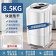 小天鷗脫水機家用甩干機【家電補貼20%】大容量單脫水桶甩干桶租房宿舍 8.5/KG塑桶普通脫水【質(zhì)保十年】