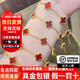 金運吉9999黃金五花手鏈紅瑪瑙玉髓手鏈雙面四葉草金包銀手鏈節日送禮物 四葉草手鏈-包金1克【紅瑪瑙】