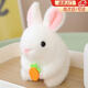 IGNB 會(huì )搖尾巴的小兔子毛絨玩具玩偶公仔娃娃圣誕節春節禮品生日禮物 小白兔 【拉線(xiàn)即玩】