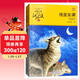 殘狼灰滿(mǎn) 動(dòng)物小說(shuō)大王沈石溪品藏書(shū)系新版 兒童文學(xué)故事書(shū) 課外閱讀 暑期閱讀 課外書(shū) 童書(shū) 正版