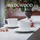 Wedgwood【新年禮物】意大利浮雕2杯2碟骨瓷咖啡杯碟英式下午茶杯碟 意大利浮雕2杯2碟 220ml