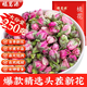 福茗源 桃花茶 桃花干桃花瓣花苞特選新花 手工挑選無(wú)硫桃花袋裝250g